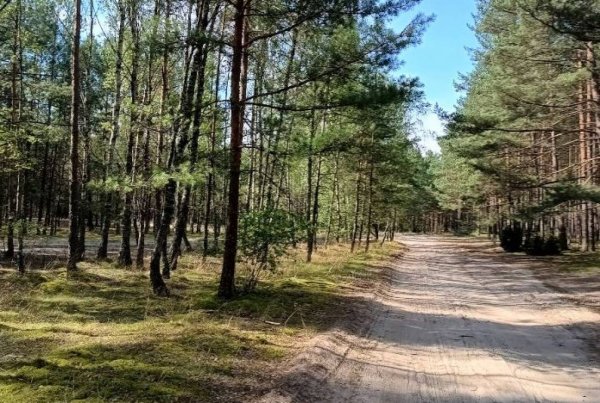 Nad Łąckim. Pole namiotowe