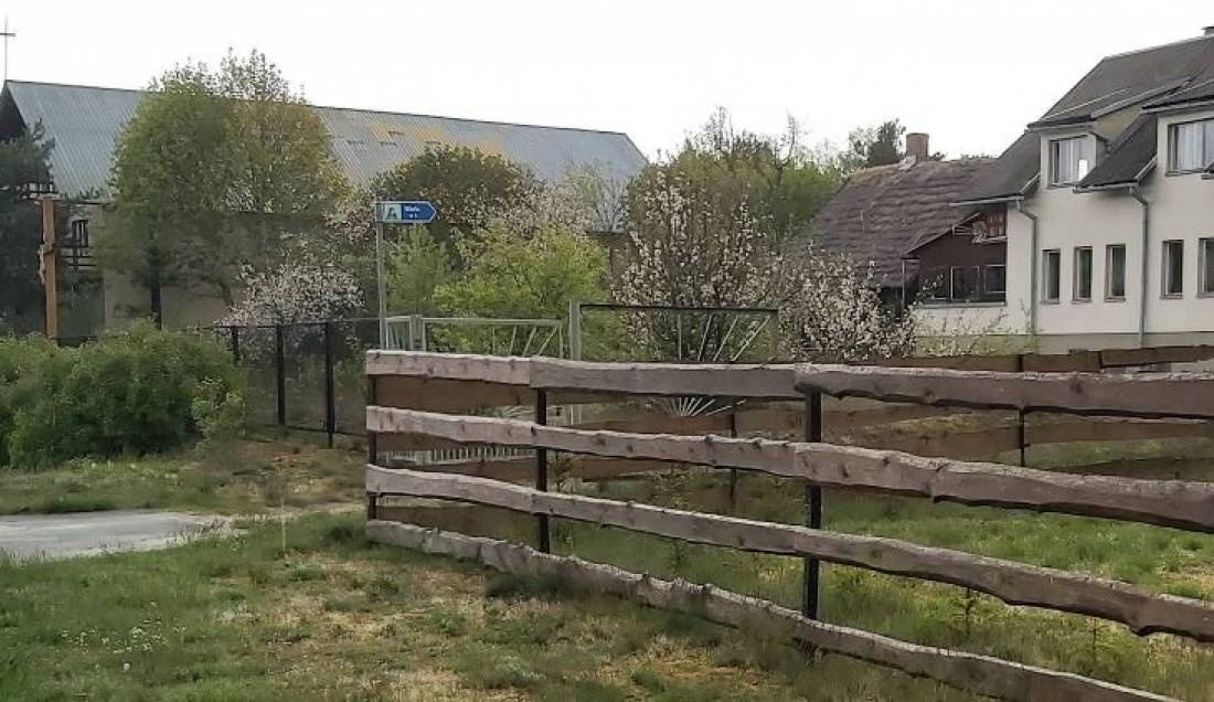 Pod Debami — Camping in Niwki