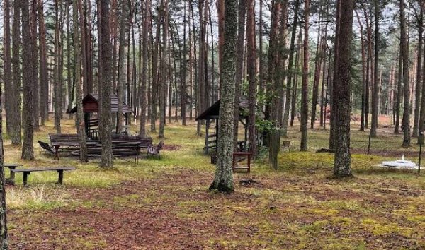 Leśne pole namiotowe