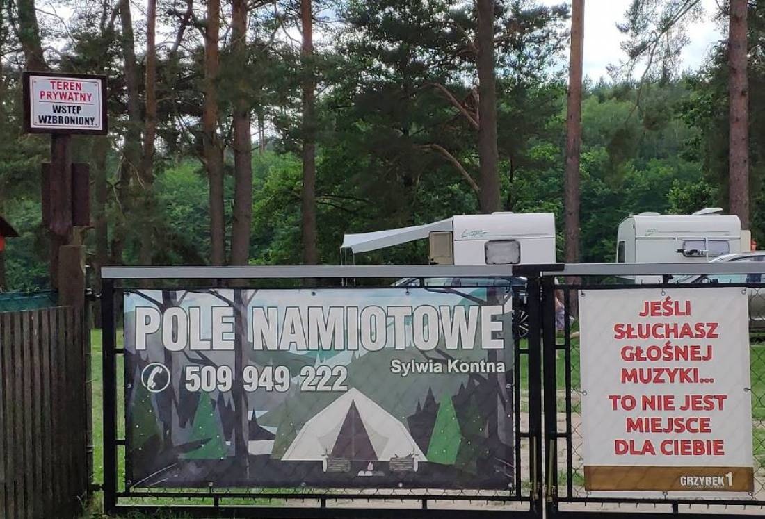 Kempingowe Grzybek — Camping in Grzybek
