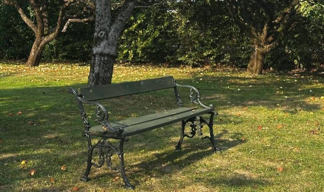 Simply Green - Postój w sadzie — Camping Site in Gorzyce