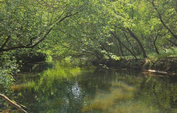 Camping Spływ Kajakowy Pod Prąd
