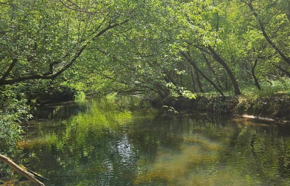 Camping Spływ Kajakowy Pod Prąd — Campingplatz in Józefów