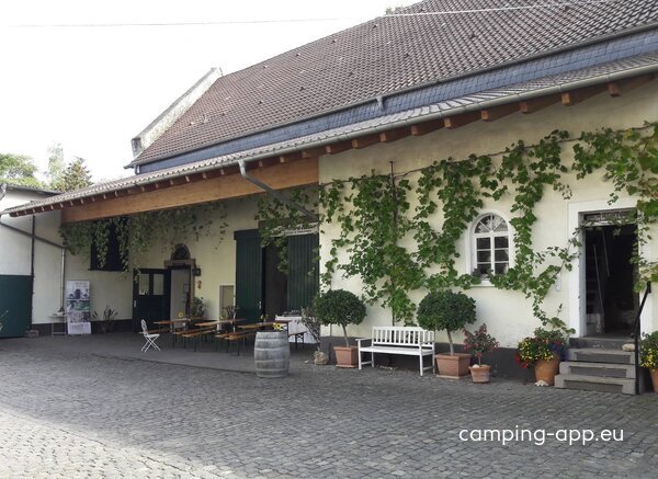 Stellplatz am Weingut & Gästehaus Bernhard Räder — Fotografie 6