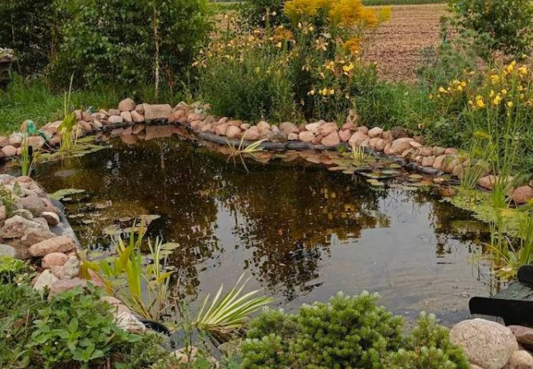 Kampinski Camping — Camping in Romanów