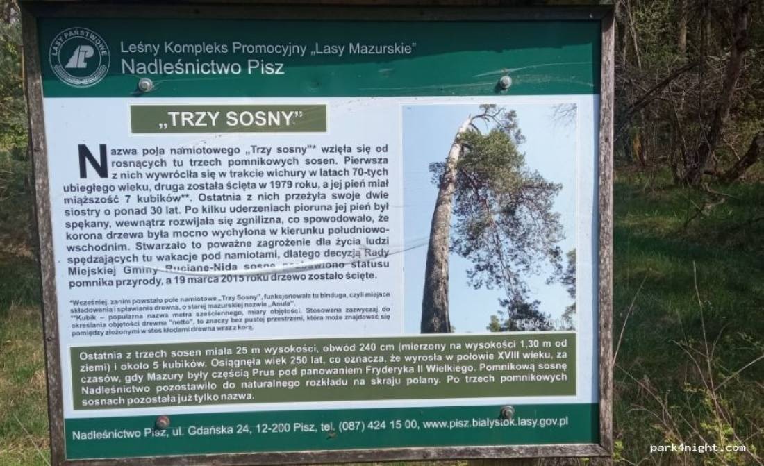 Polana Trzy Sosny — Cámping in Niedźwiedzi Róg