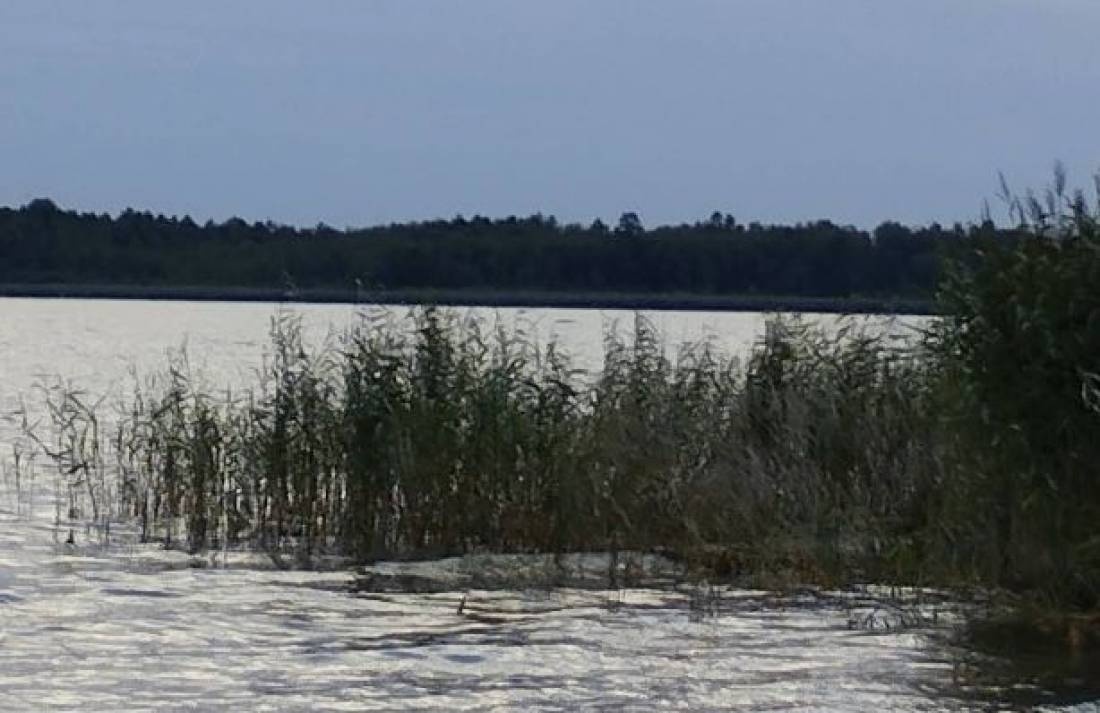 Biwak Pod Sosnami — Cámping in Okartowo