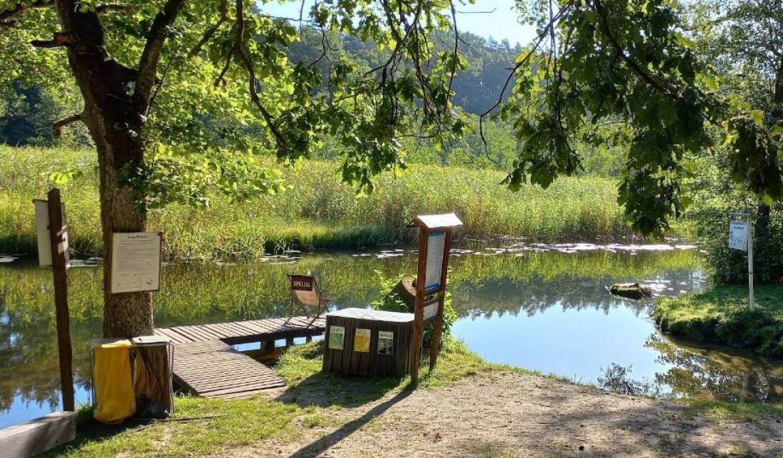 Stanica Wodna PTTK Babięta — Kamp yeri in Piecki