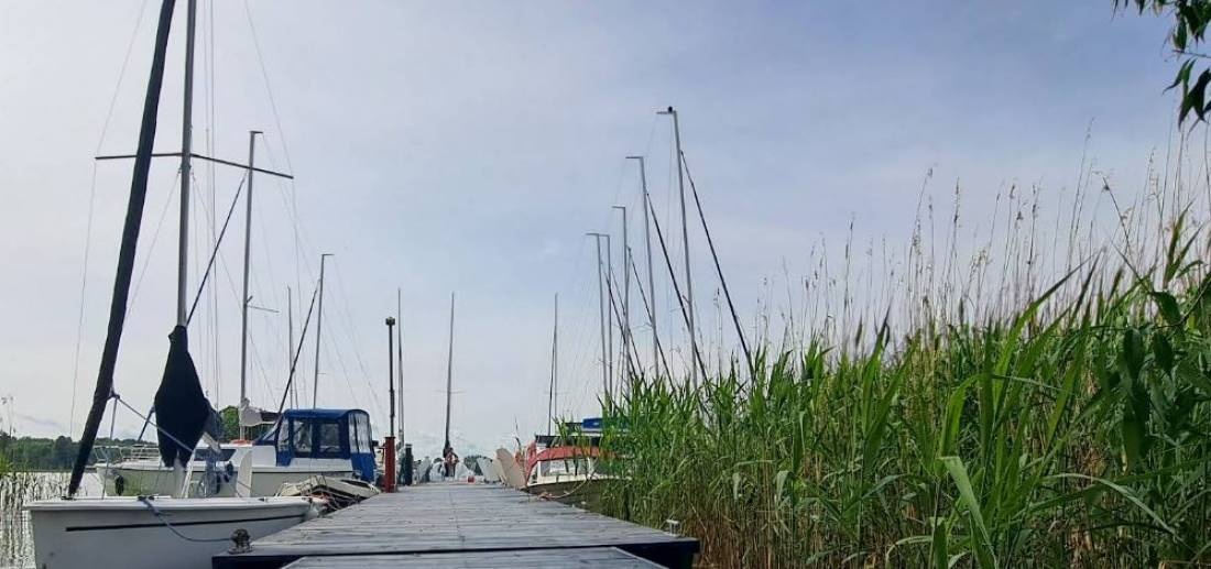 Ośrodek Dalpol — Kamp yeri in Prażmowo