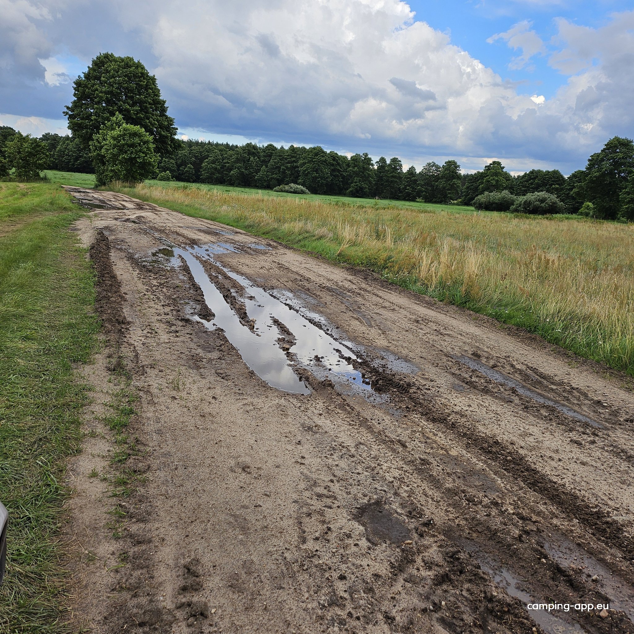 Camping Cud nad Pisą — Photo 3