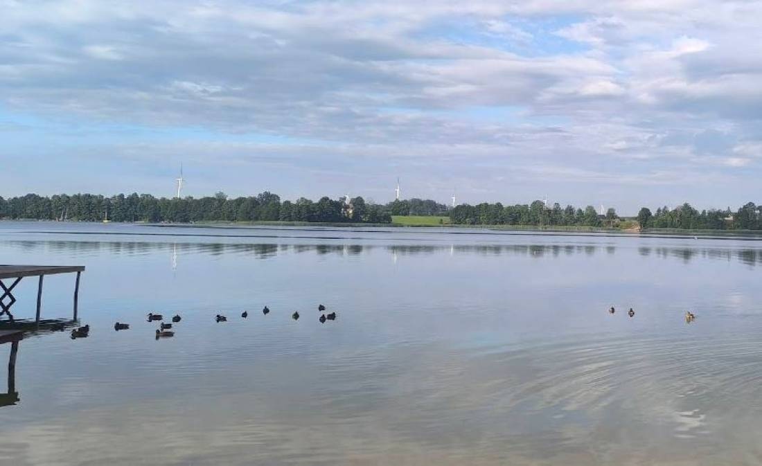 Łabędź - Domki i Camping nad Jeziorem — Sítio de acampamento in Rajgród