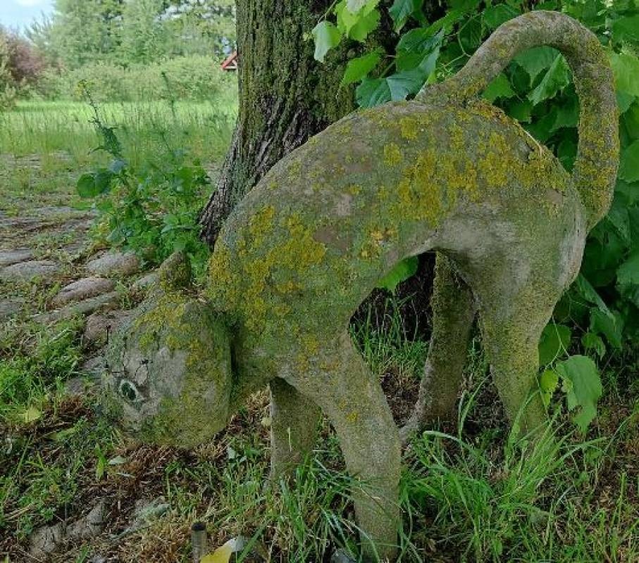 Agrocamp — Sítio de acampamento in Przerośl