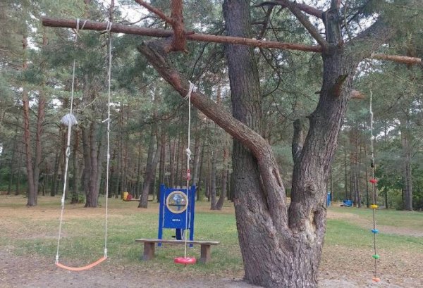 Pole namiotowe Na Rataja