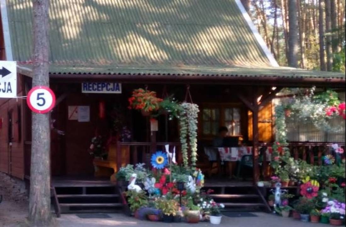 Pole Biwakowe 181 — Cámping in Sztutowo