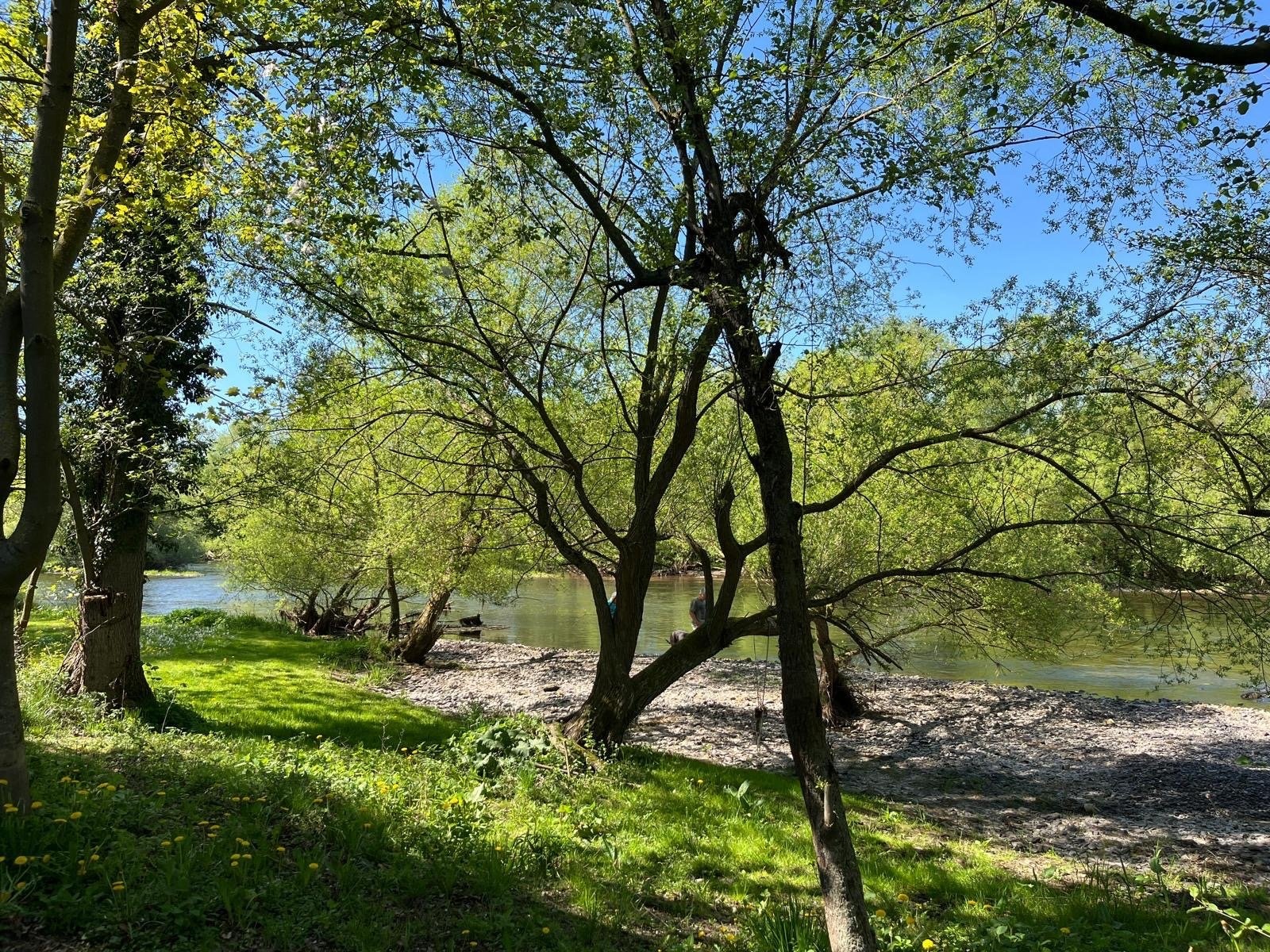Campingplatz Ideal — Kemping in Edertal
