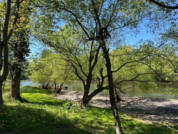 Campingplatz Ideal — Photo 5