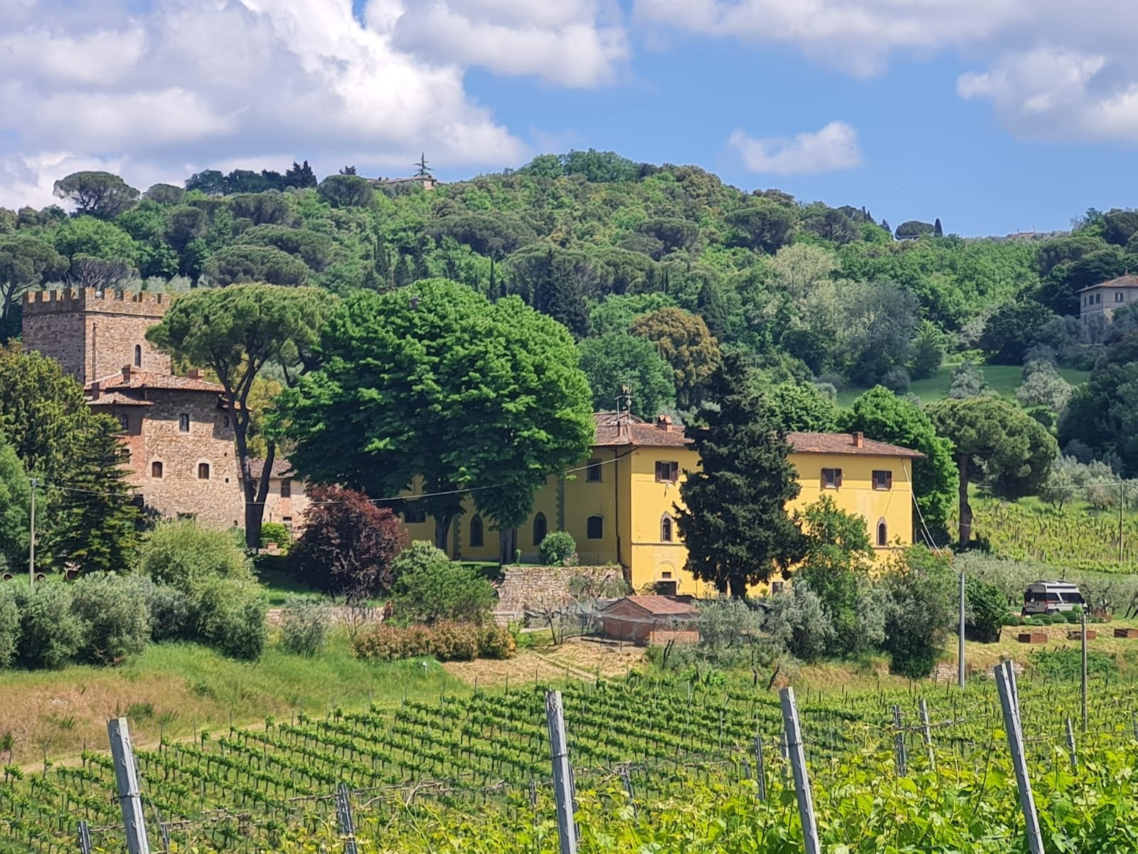 Weingut Tenuta del Palagio — Winery in San Casciano in Val di Pesa