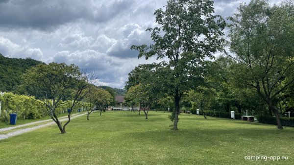 Una Kamp — Photo 3