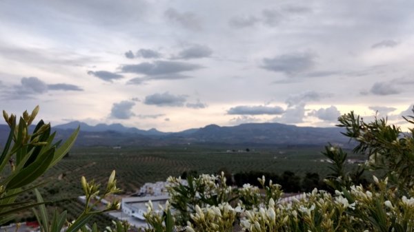 Stellplatz Alcaudete — Fotoğraf 3