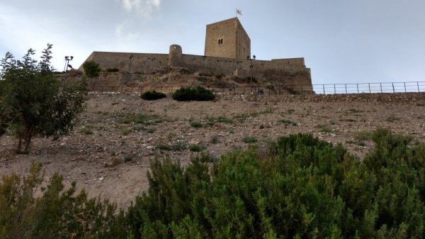 Stellplatz Alcaudete — Photo 2