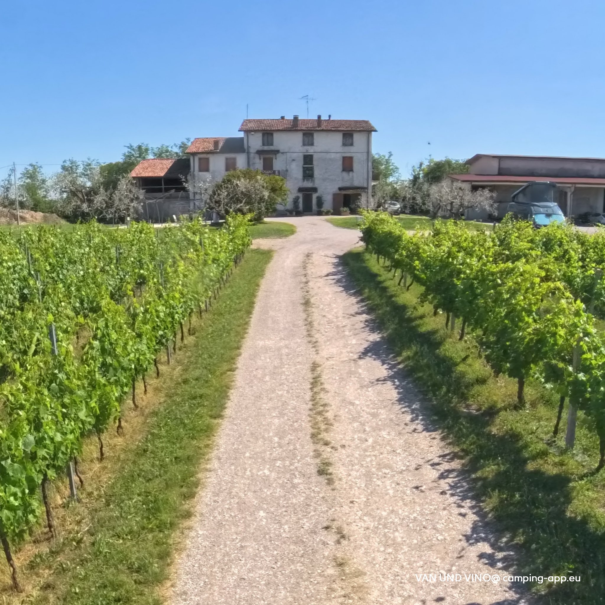 Poggio Delle Grazie — Foto 5