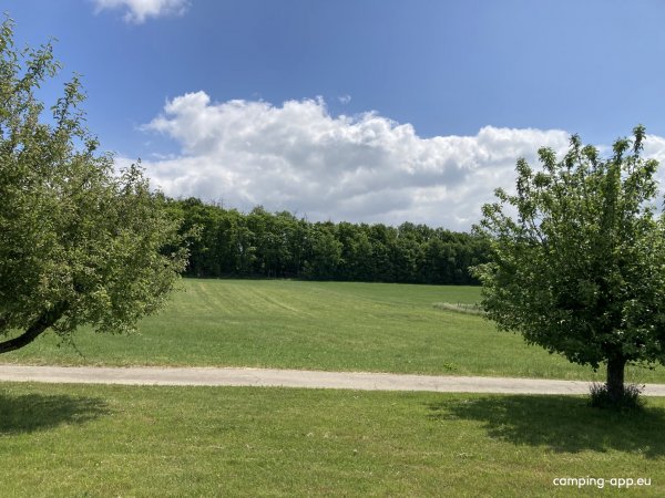 Stellplatz 2 Straußenfarm — Photo 3