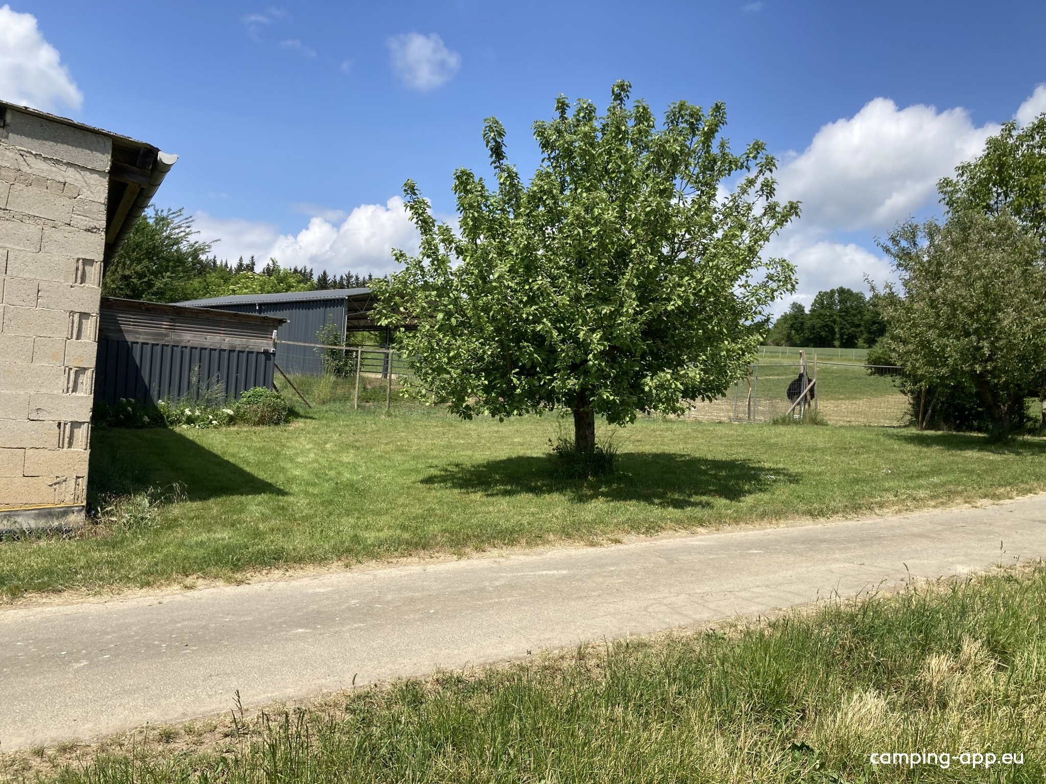 Stellplatz 2 Straußenfarm — Camperplaats in Weyer