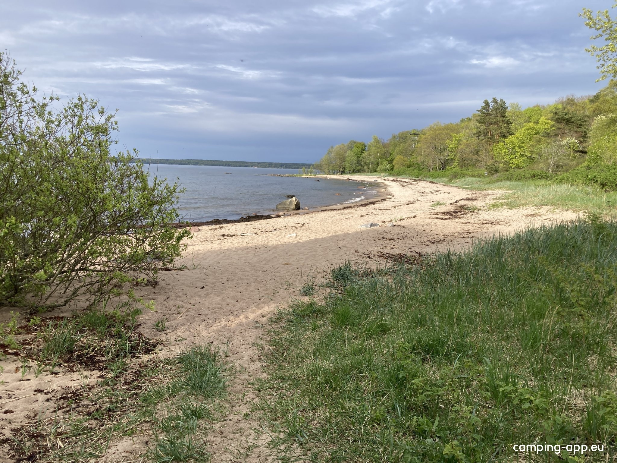 RMK Campingplatz Tsitre — Cámping in Kuusalu vald