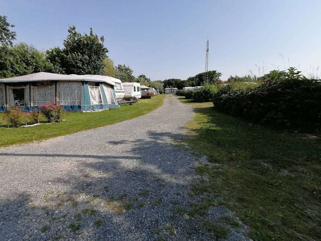 Mandø Brugs & Camping — Campingplats in Ribe