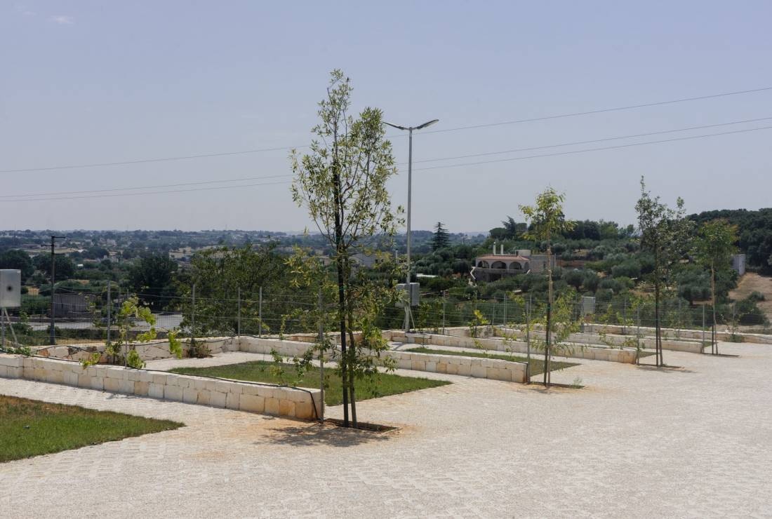 Camping -Valle d'Itria — Campervan Site in Locorotondo
