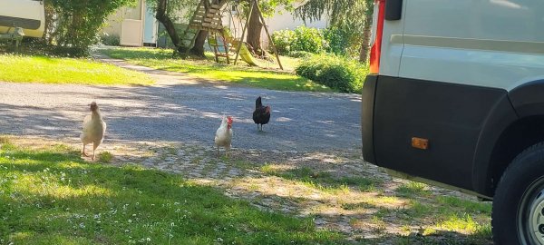 Camping Coin de ciel — Photo 3