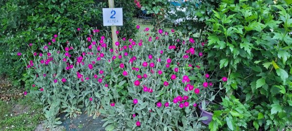 Camping Coin de ciel — Foto 2