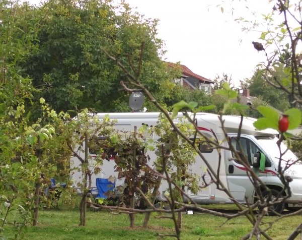 Stellplatz beim Weingut Huppert Gundersheim — Winiarnia in Gundersheim