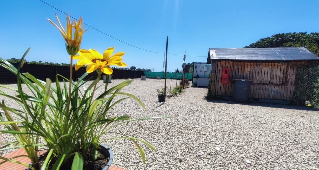 Campalmar Almayate — Area Autocaravanas in Vélez-Málaga