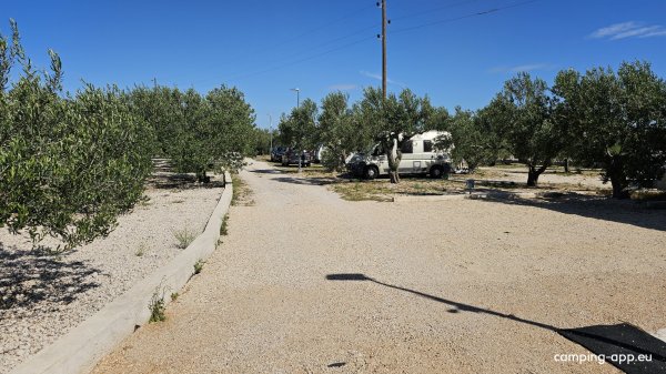 Banovi Dvori Camp — Fotoğraf 5