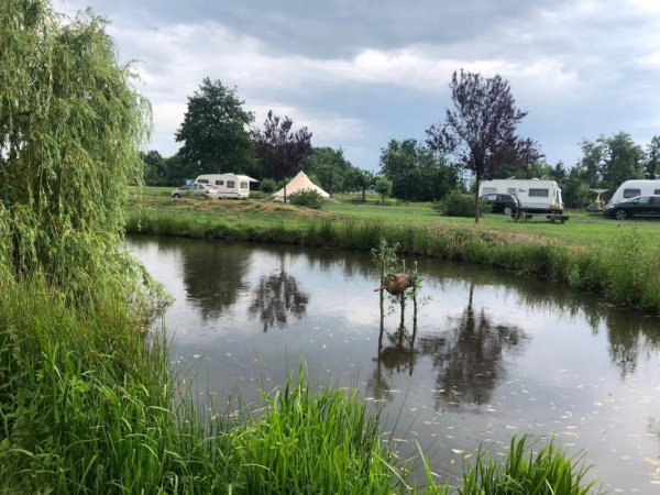 Noordeloos, Nederland — Photo 2