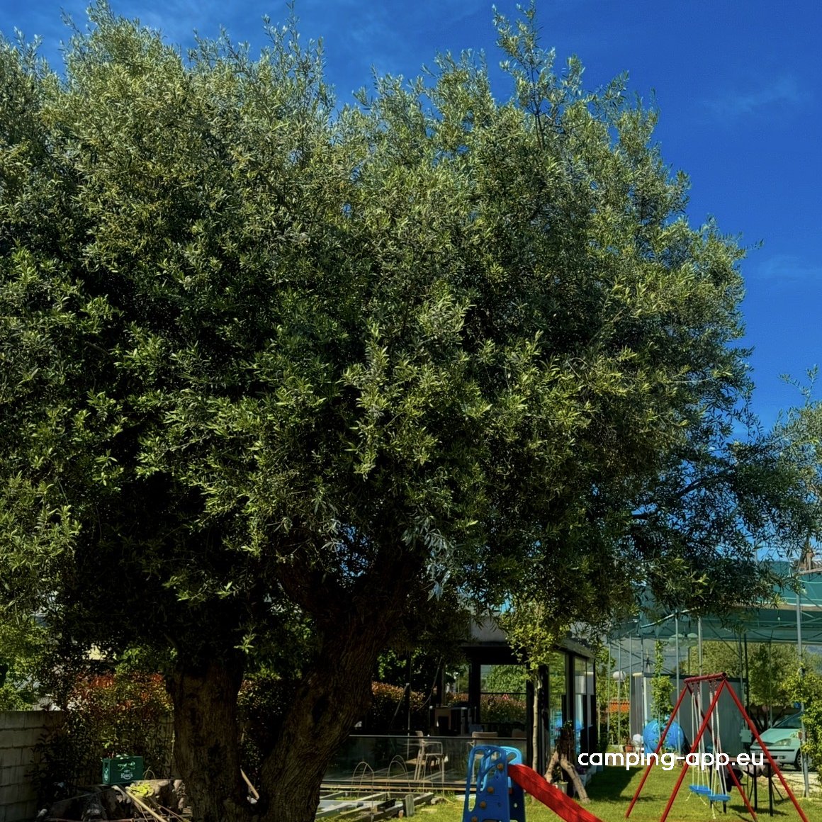 Agro Camping Harmony — Foto 2