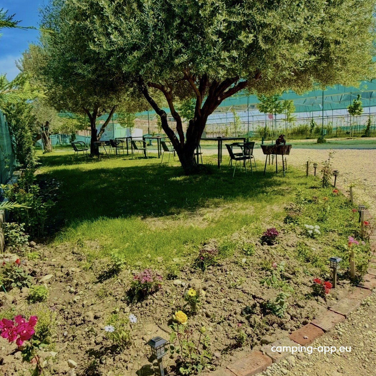 Agro Camping Harmony — Foto 3