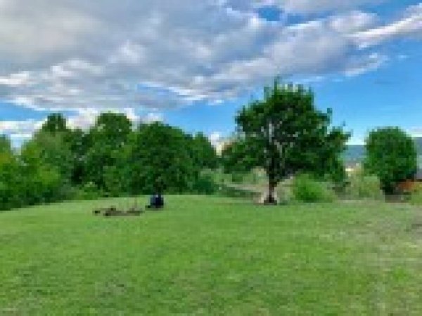 Camping Argeș — Photo 2