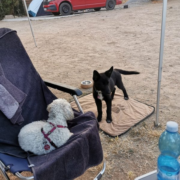 Casa Reiner — Photo 5