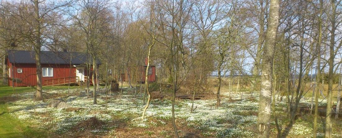 Aplanabben (FKK, naturist) resort — Camping in Fågelmara