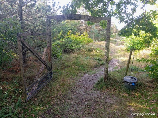 Tranum Klit Camping — Foto 5