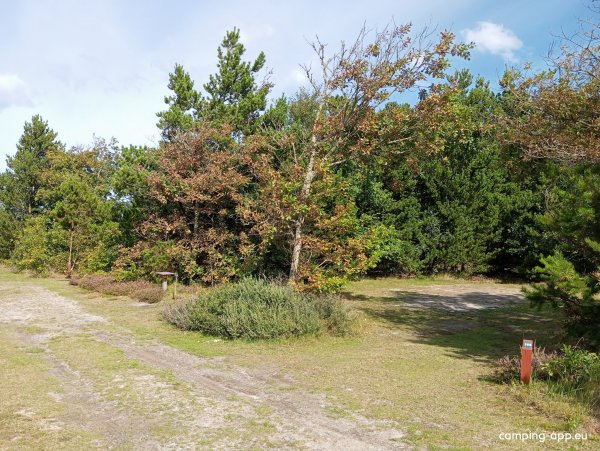 Tranum Klit Camping — Photo 6