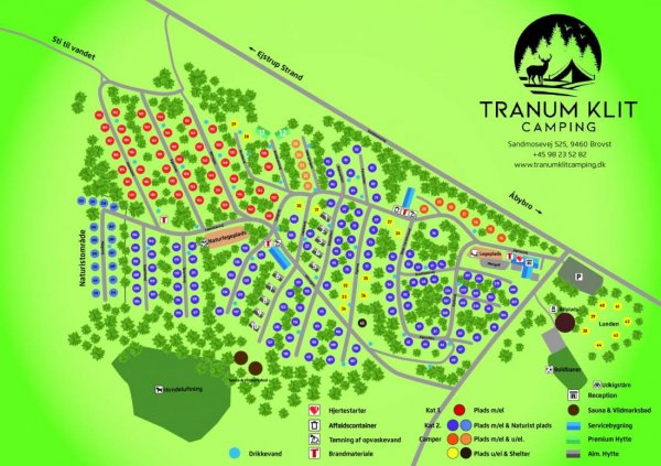 Tranum Klit Camping — Photo 5