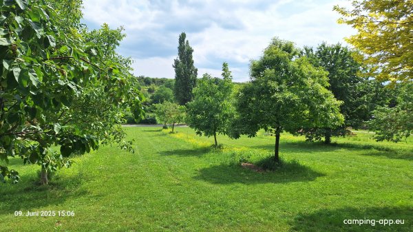 Stellplatz am Weigut Grittmann