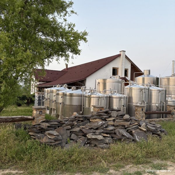 Elite Wine Weingut — Photo 3
