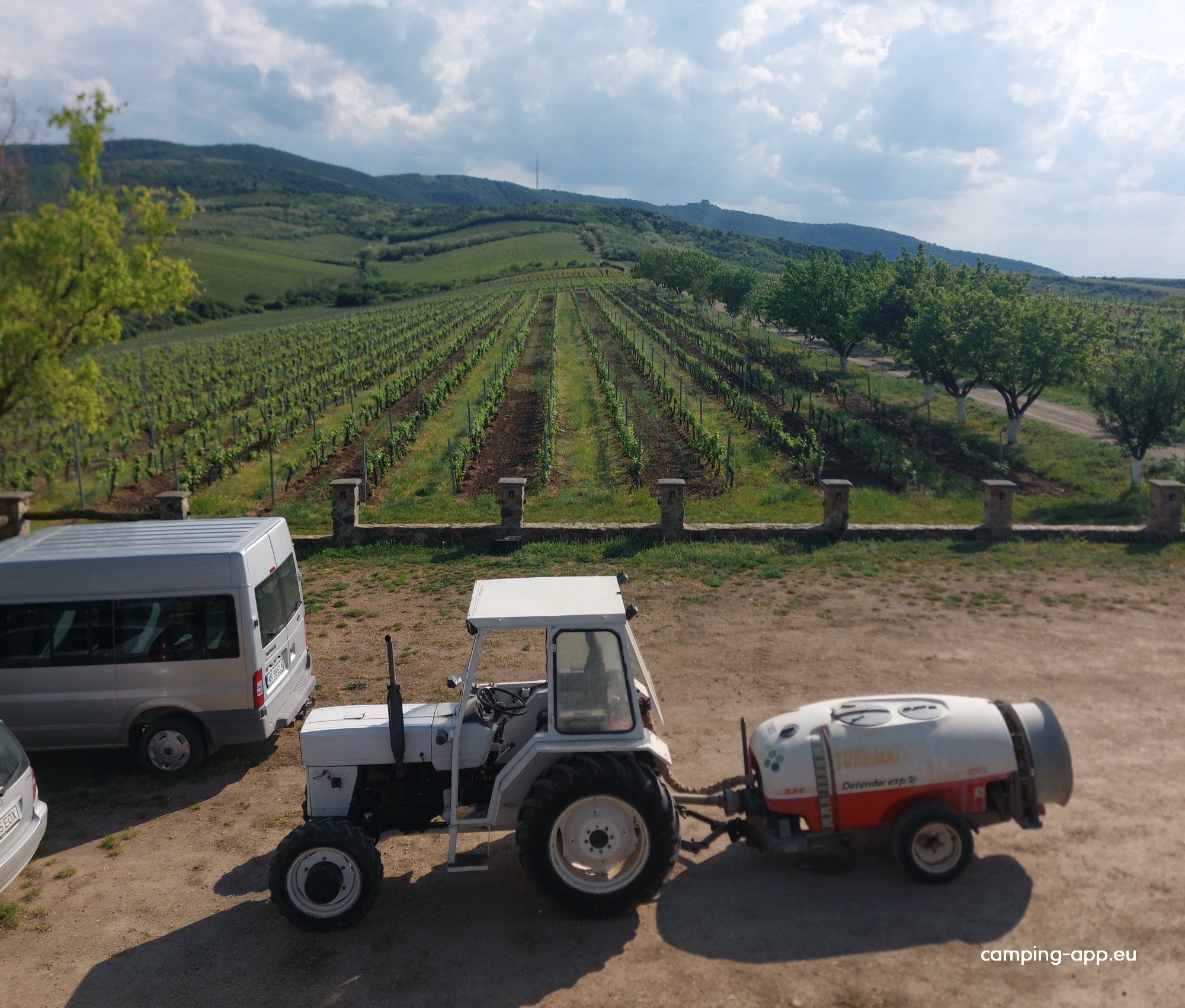 Elite Wine Weingut — Foto 2