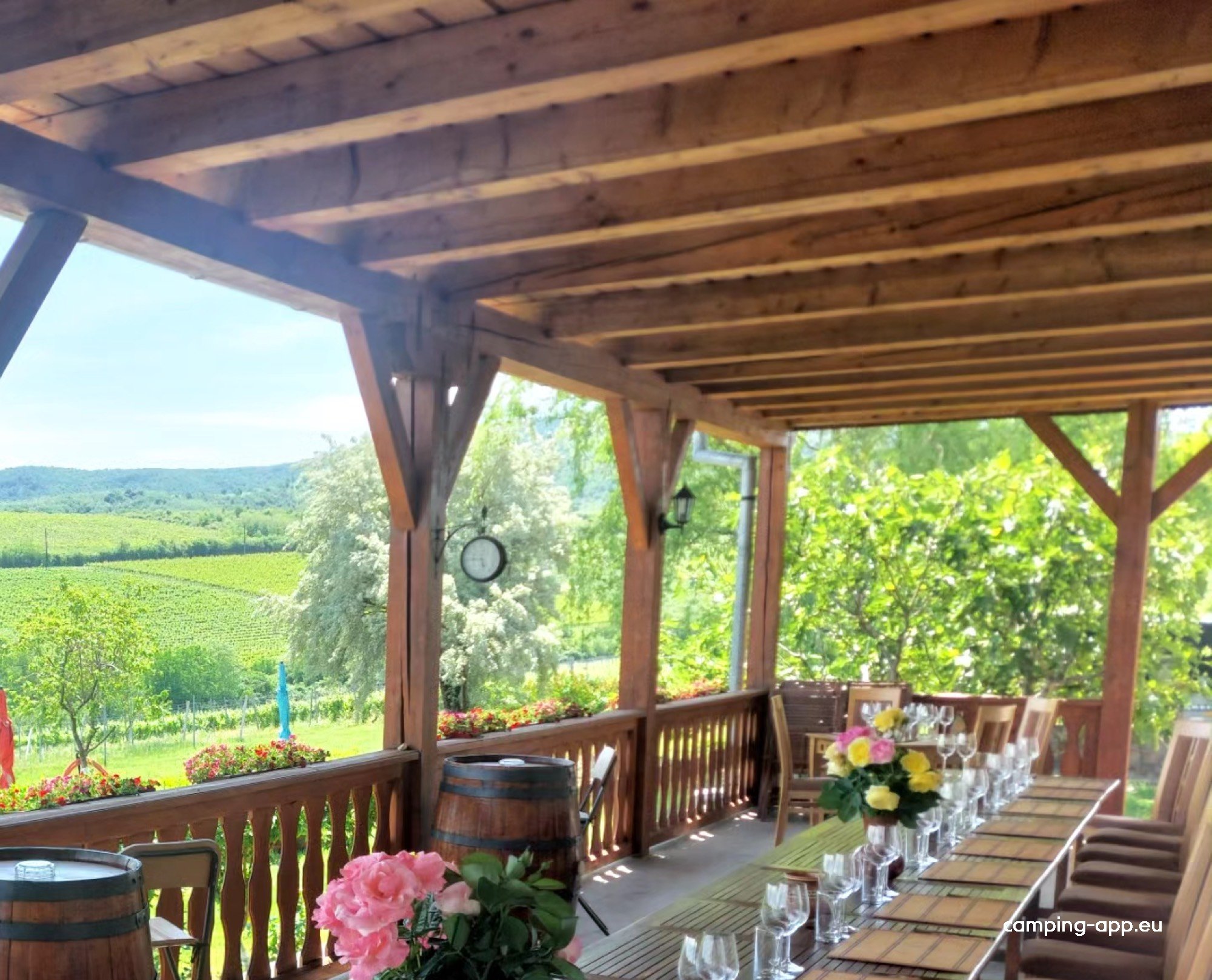 Elite Wine Weingut — Foto 4