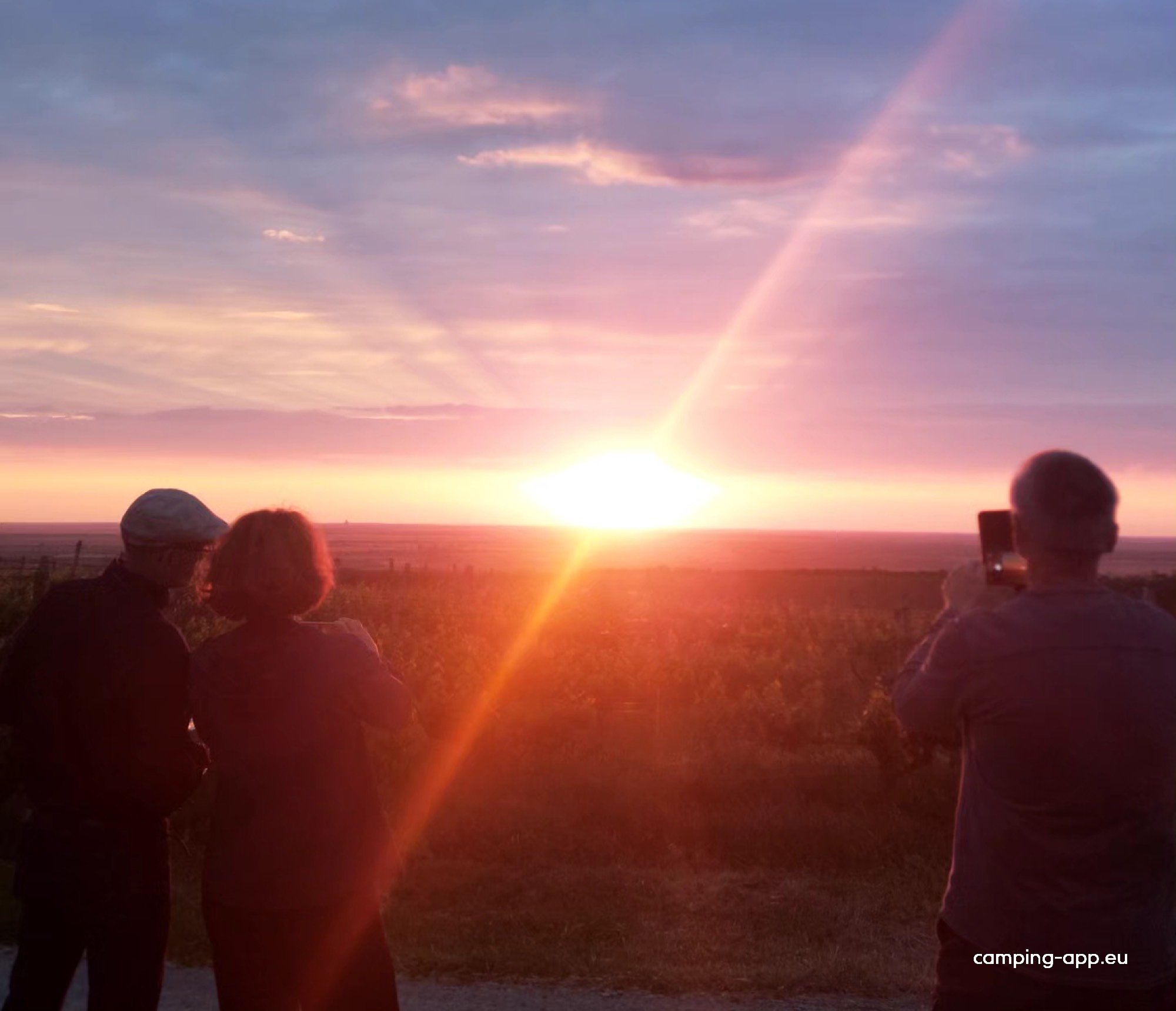 Elite Wine Weingut — Foto 6