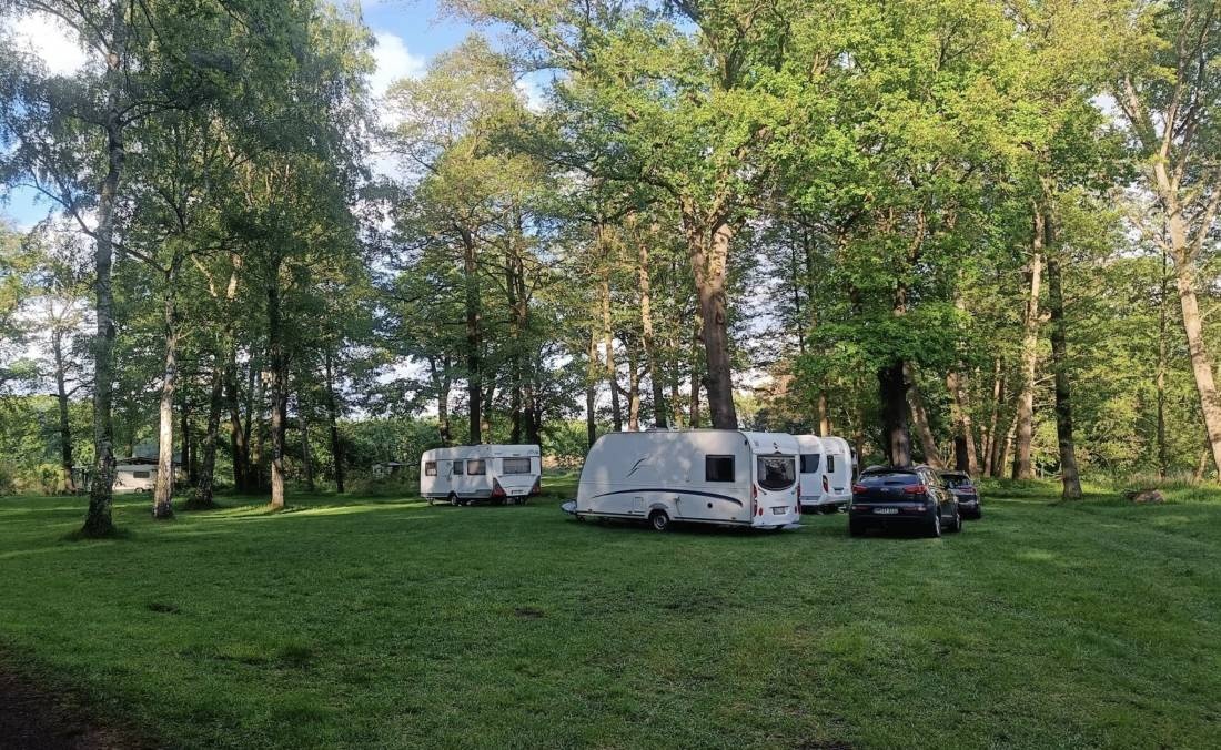 Campingplatz Oberer Waldteich Boxdorf — Campingplads in Moritzburg
